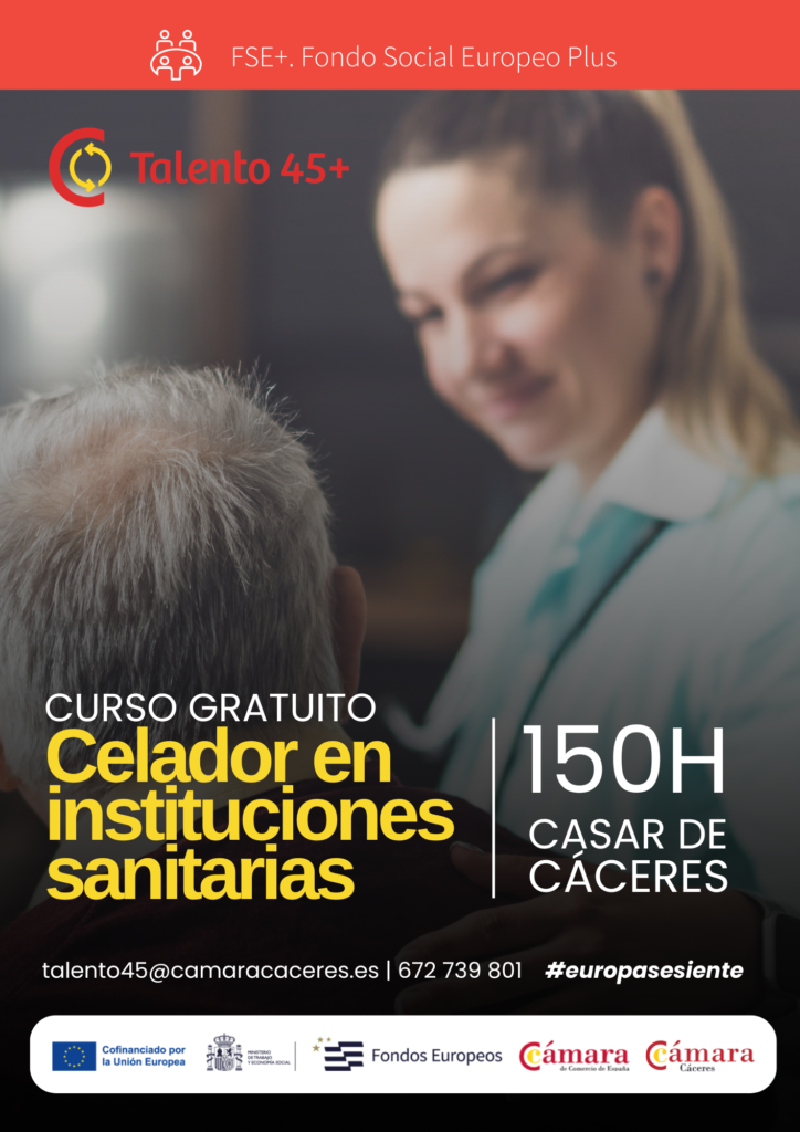 a3 curso arreglo prendas vestir alcántara