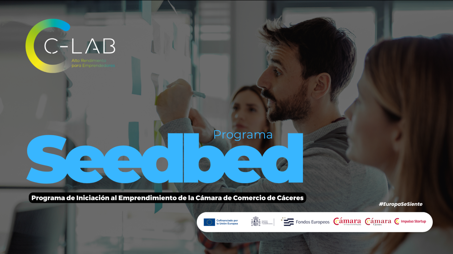 Seedbed