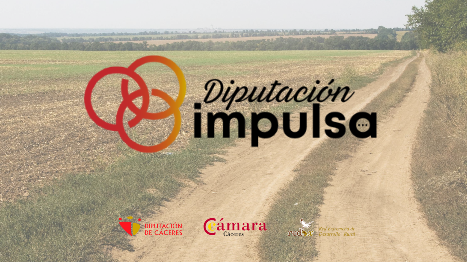 diputación impulsa (2)
